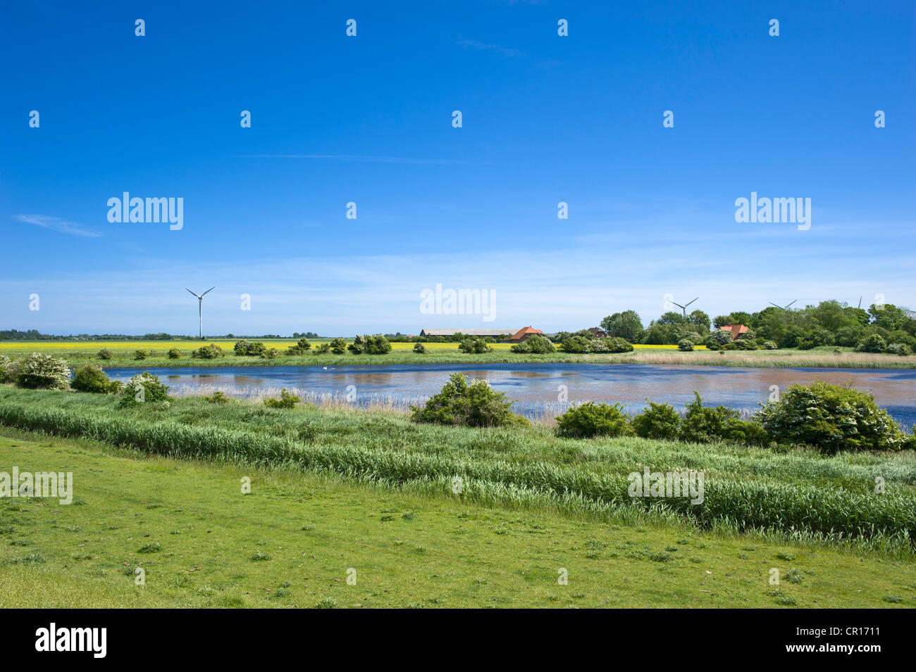 See an der Flut Deich, Westermarkelsdorf, Insel Fehmarn, Ostsee, Schleswig-Holstein, Deutschland, Europa Stockfoto
