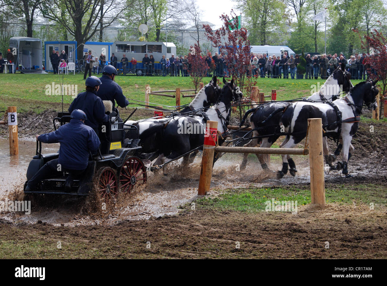 Wagen, die Meisterschaft in Horst, Niederlande Stockfoto