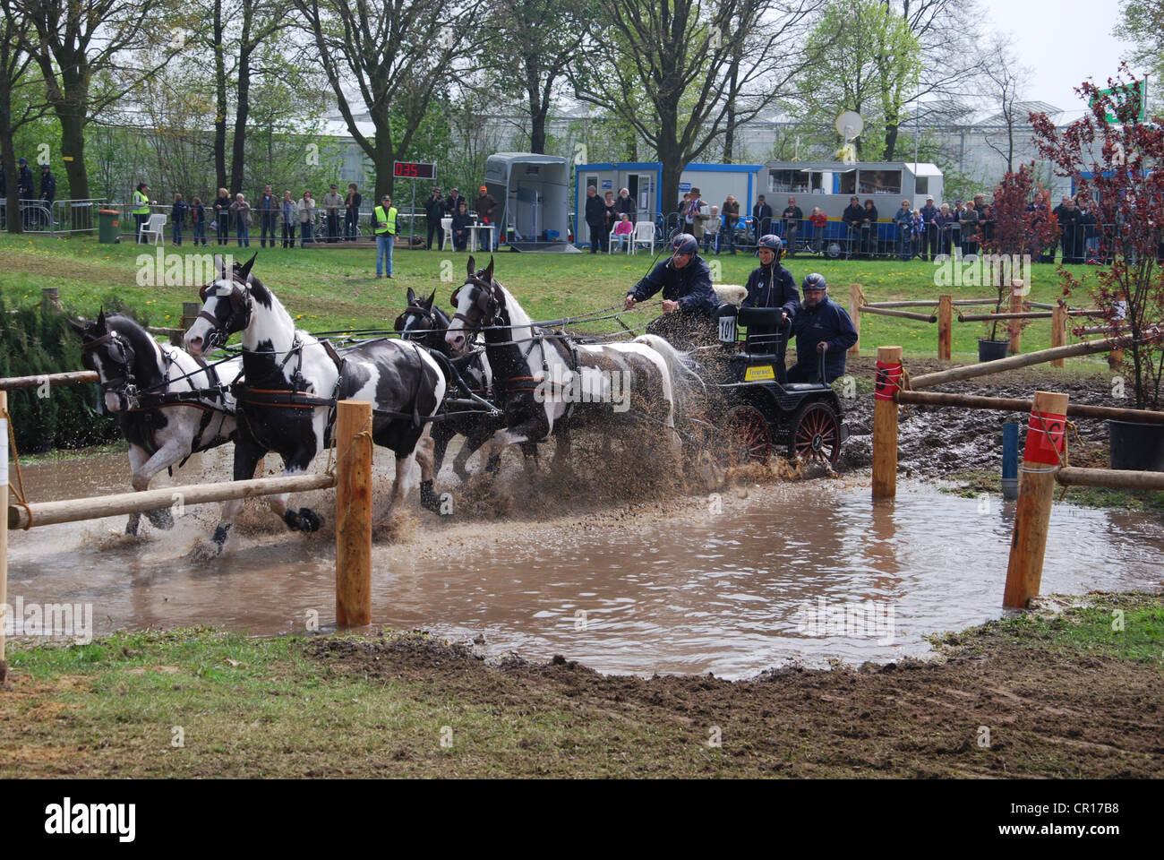 Wagen, die Meisterschaft in Horst, Niederlande Stockfoto