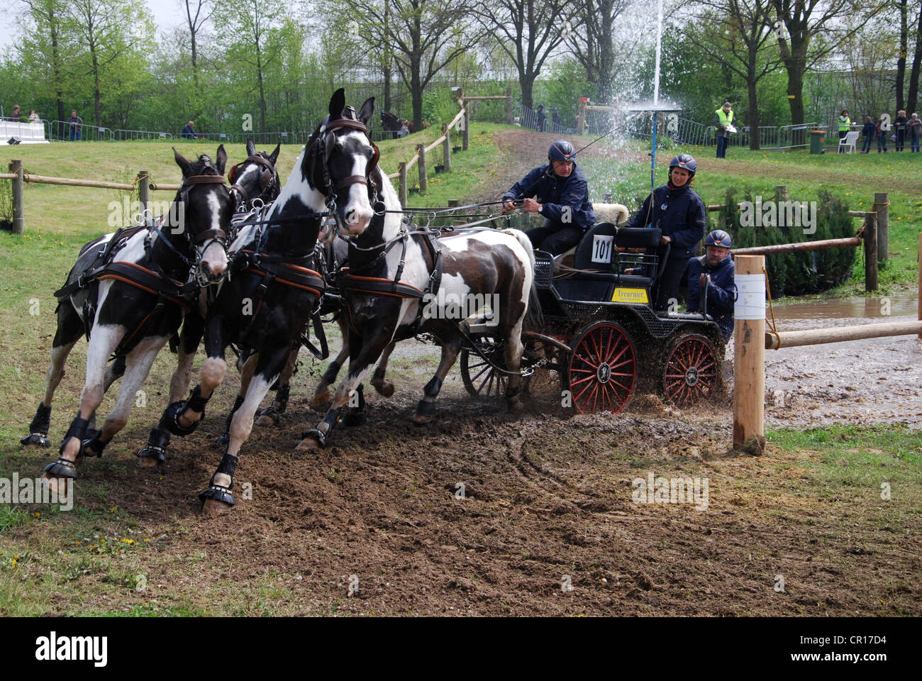 Wagen, die Meisterschaft in Horst, Niederlande Stockfoto