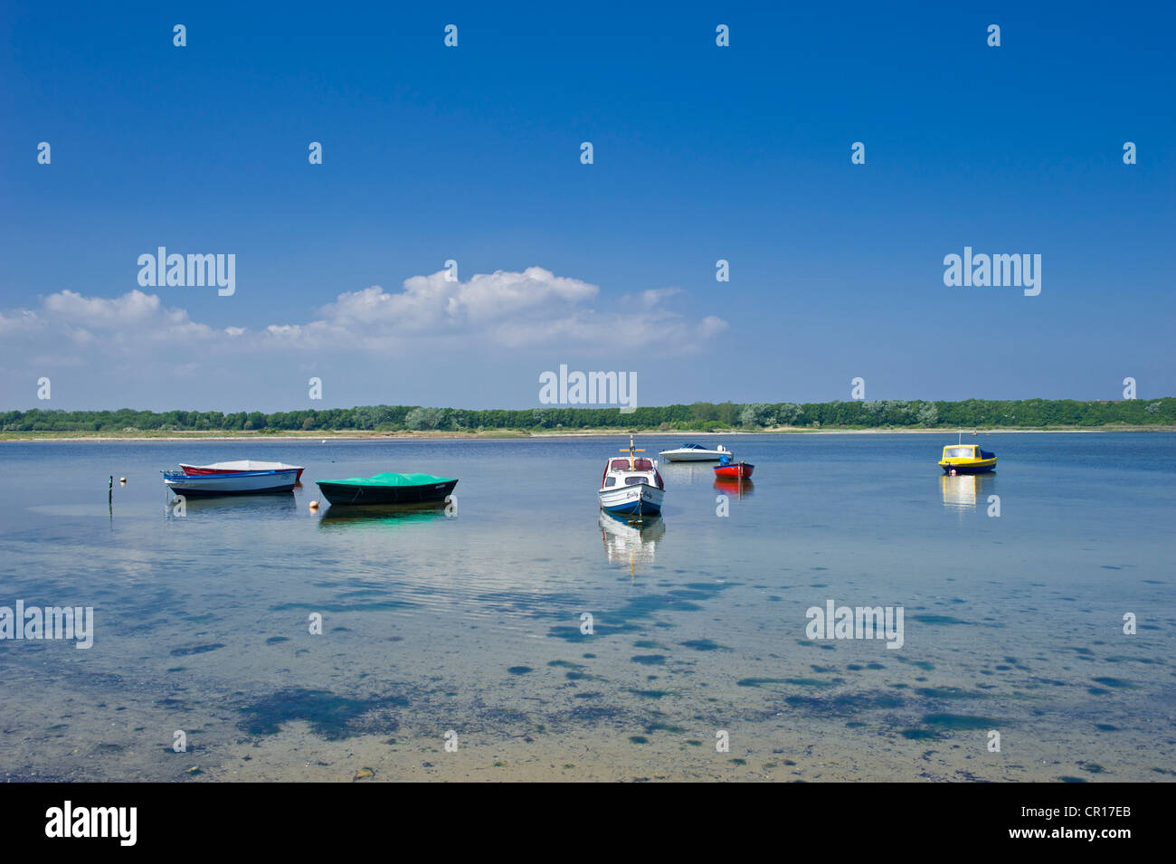 Fehmarnsund an Grossenbroderfaehre, Grossenbrode, Ostsee, Schleswig-Holstein, Deutschland, Europa Stockfoto