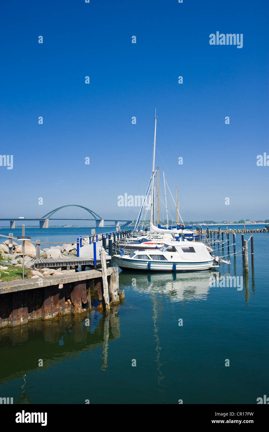 Marina mit Fehmarn-Sound-Brücke bei Grossenbroderfaehre, Grossenbrode, Ostsee, Schleswig-Holstein, Deutschland, Europa Stockfoto