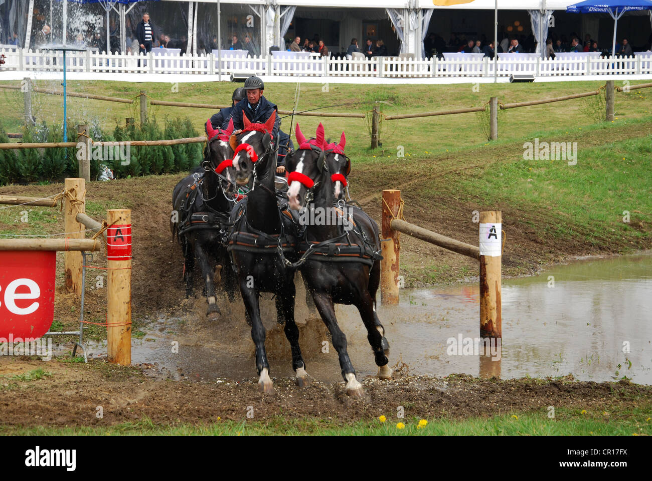 Wagen, die Meisterschaft in Horst, Niederlande Stockfoto