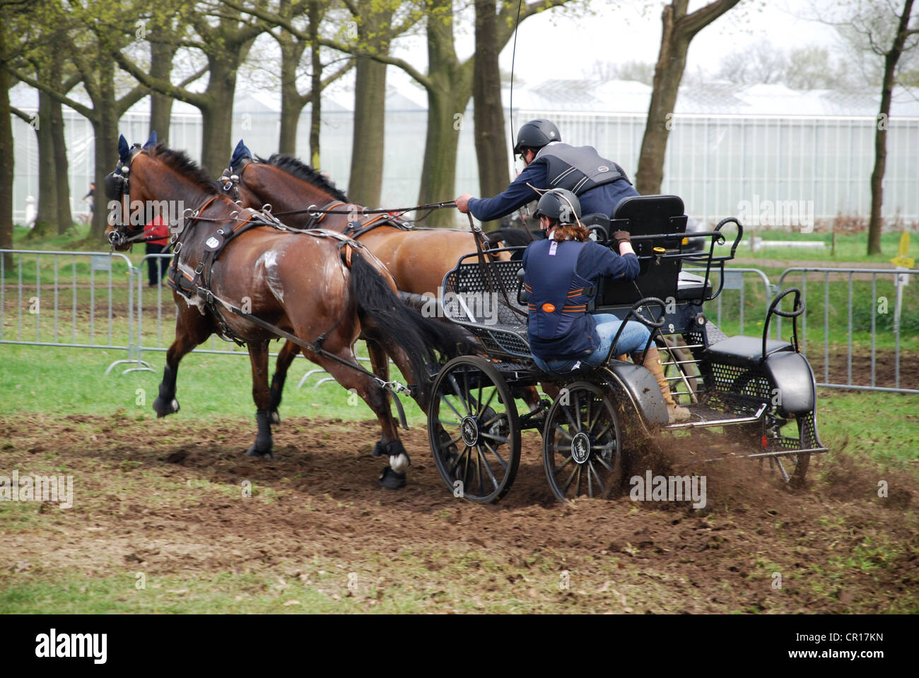 Wagen, die Meisterschaft in Horst, Niederlande Stockfoto