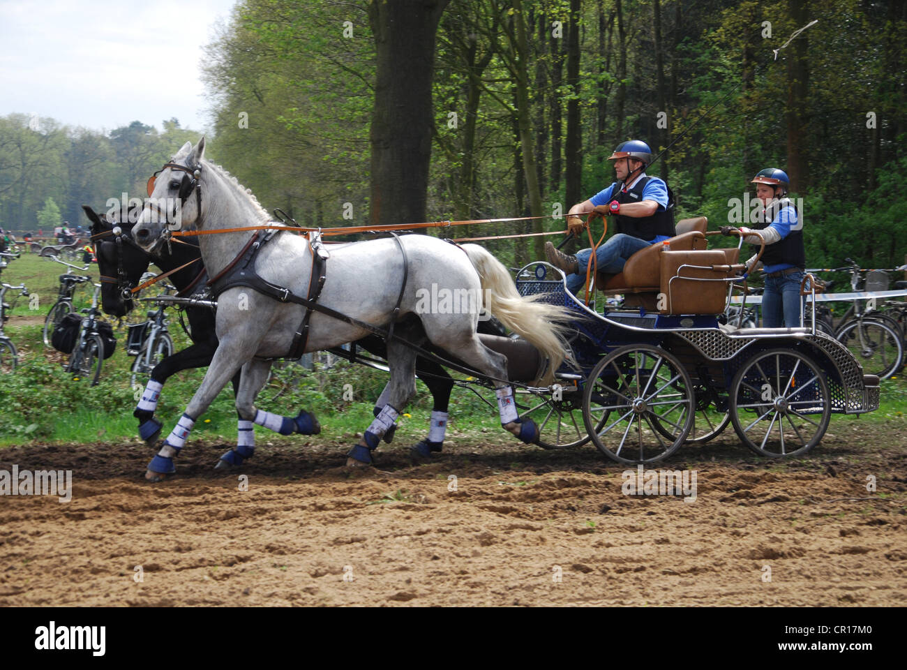 Wagen, die Meisterschaft in Horst, Niederlande Stockfoto