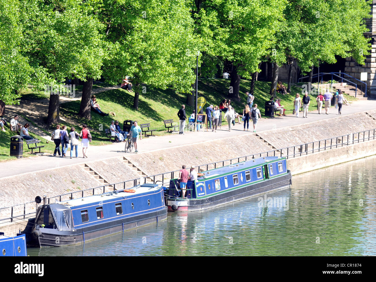 Fluß Avon in Bath, Somerset, England, Großbritannien Stockfoto
