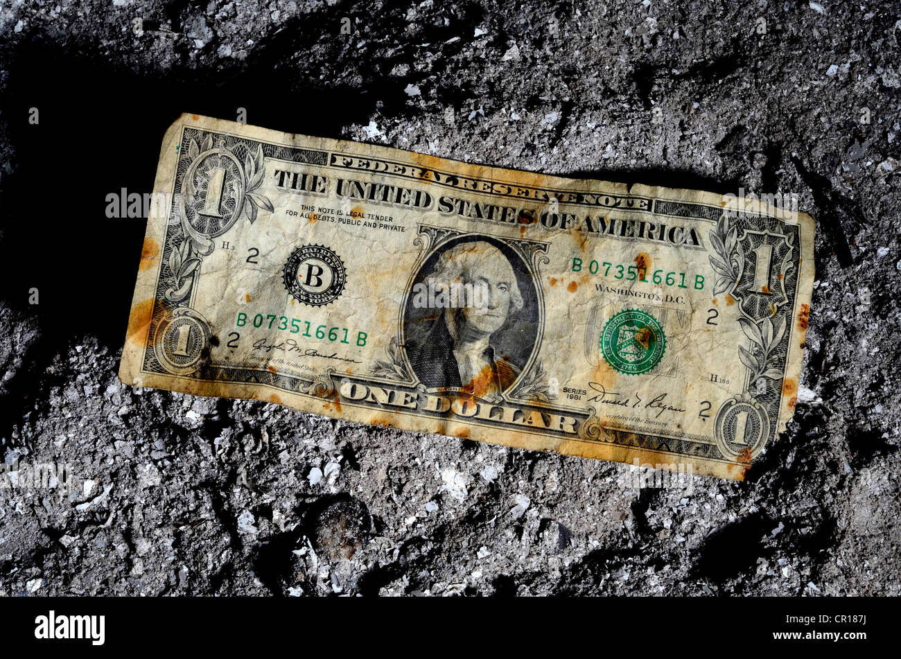Washington-Dollarschein in Holzasche Stockfoto