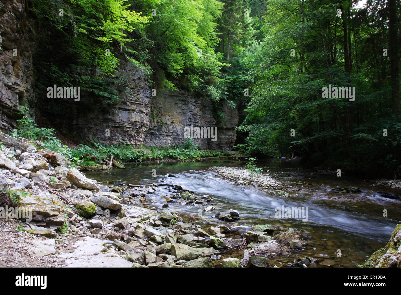 Mauer aus Muschelkalk, Shellbearing Kalksteinfelsen entlang des Flusses Wutach im Schwarzwald Naturschutzgebiet Wutach Schlucht Stockfoto