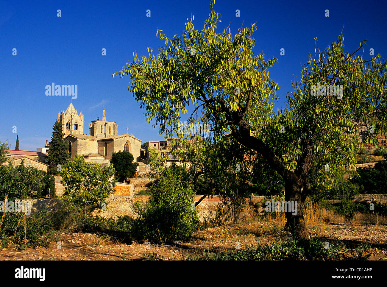 Spanien, Katalonien, Lleida Provinz, La Ruta del Cister, Valbona de las Monjas, Kloster von Santa Maria de Valbona Stockfoto