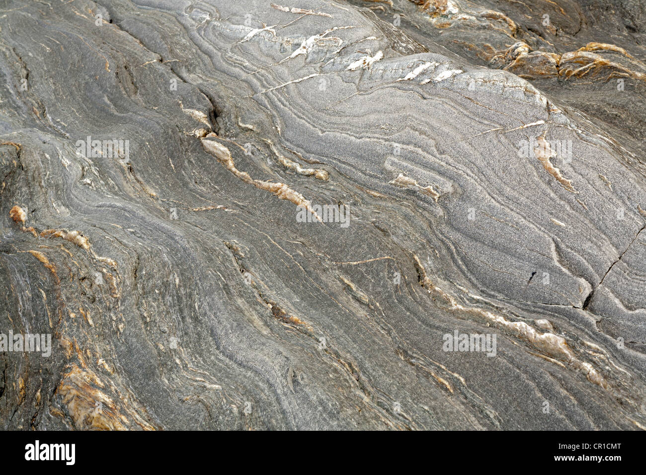 Nahaufnahme von Küsten Proterozoikums Felsen Einlagen mit Quarz Einschlüssen an der bretonischen Küste an Plozevet Stockfoto