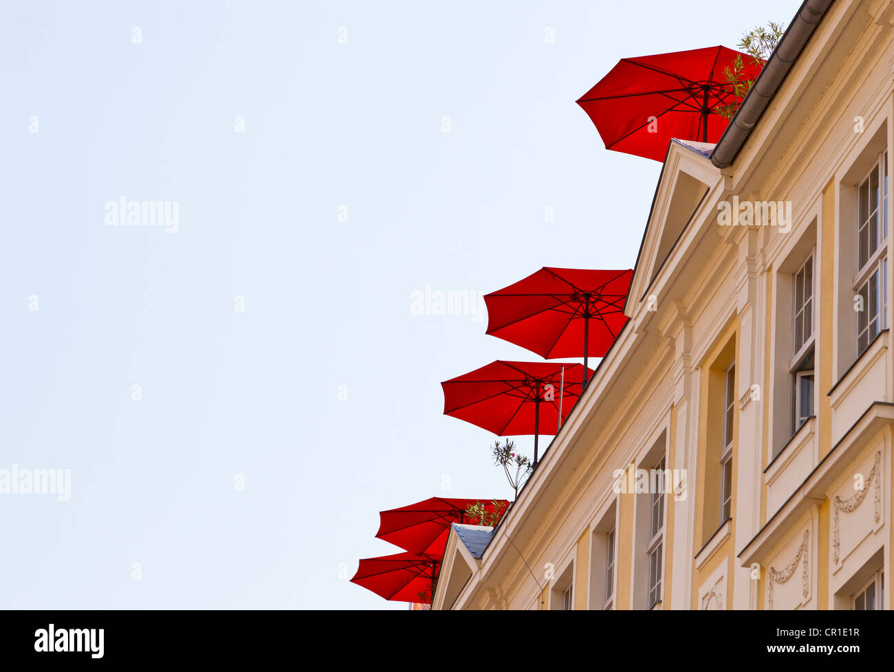 Rote Sonnenschirme auf einem Dach Terrasse, Potsdam, Brandenburg, Deutschland, Europa Stockfoto