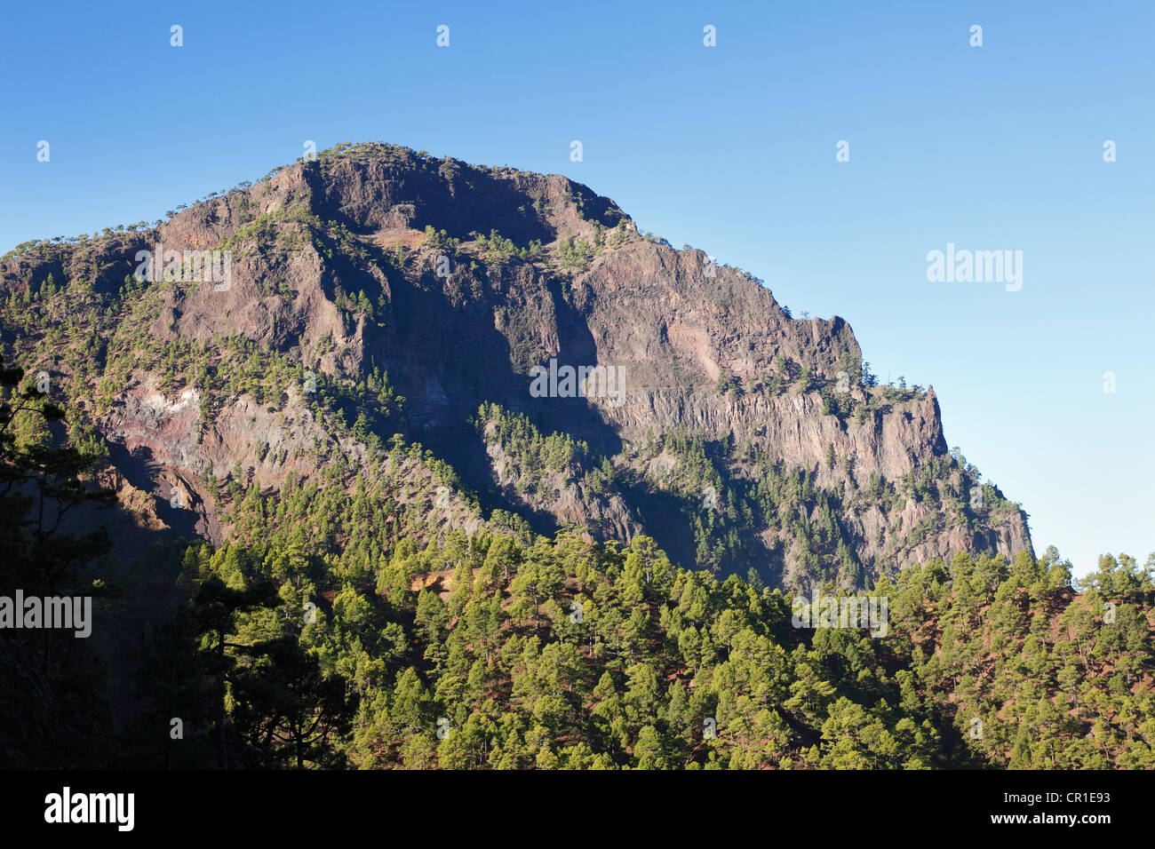 Pico Bejenado, Nationalpark Caldera de Taburiente, La Palma, Kanarische Inseln, Spanien, Europa Stockfoto