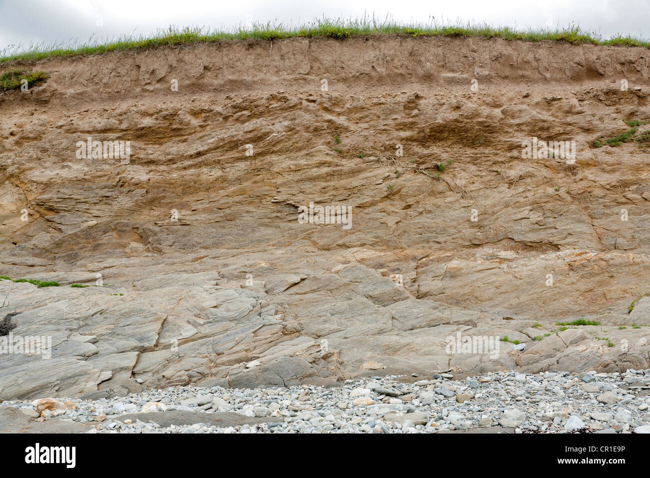 Coastal Proterozoikums Felsen Einlagen bilden eine niedrige Klippe an der bretonischen Küste an Plozevet Stockfoto