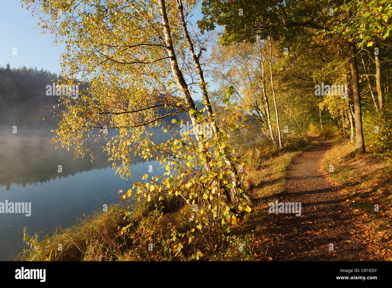 Uferweg entlang Ellertshäuser See, Schweinfurter Land Bezirk Unterfranken, Franken, Bayern, Deutschland, Europa Stockfoto