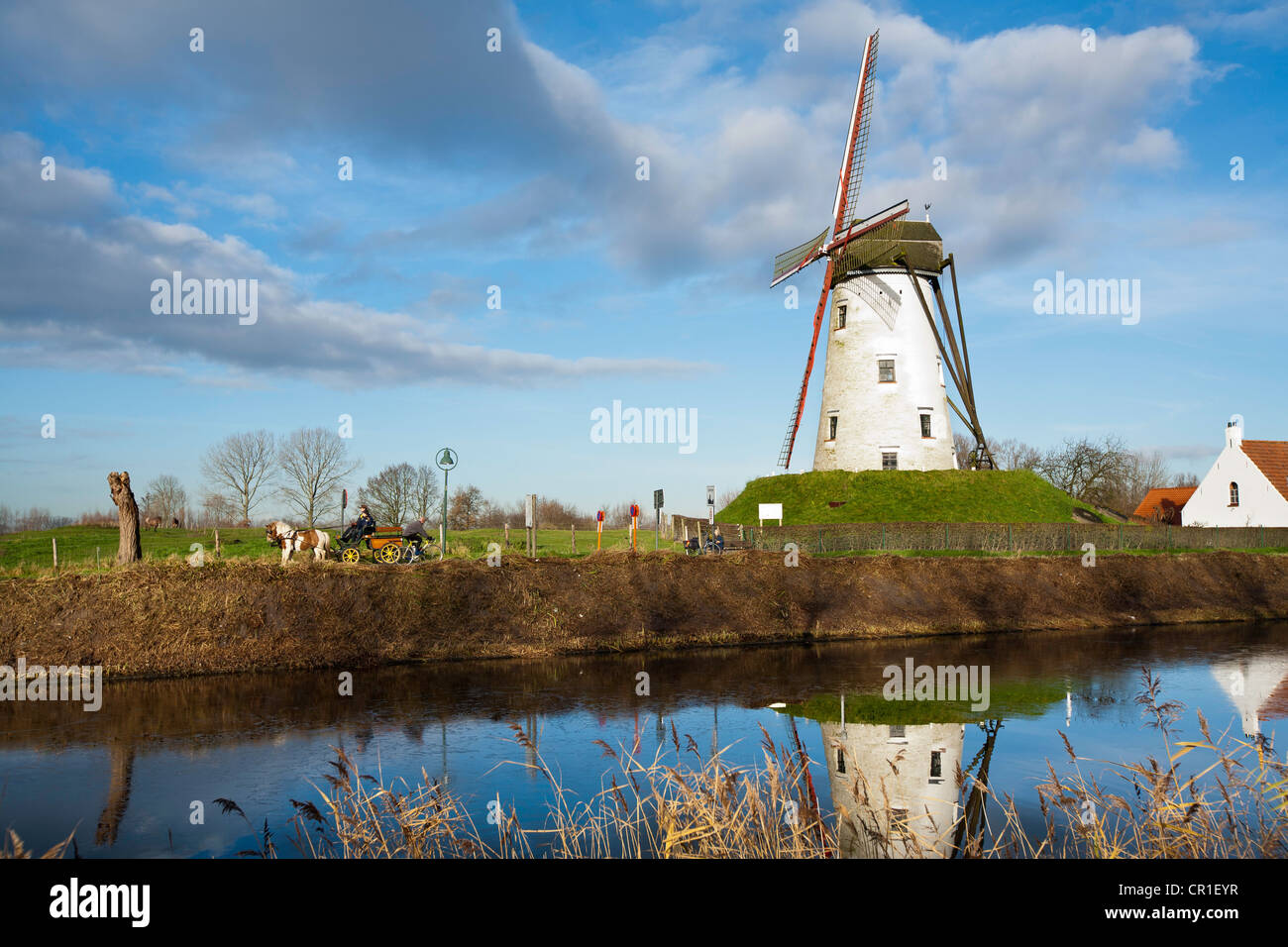 De Schell Molen Windmühle am Damme, Belgien Stockfoto