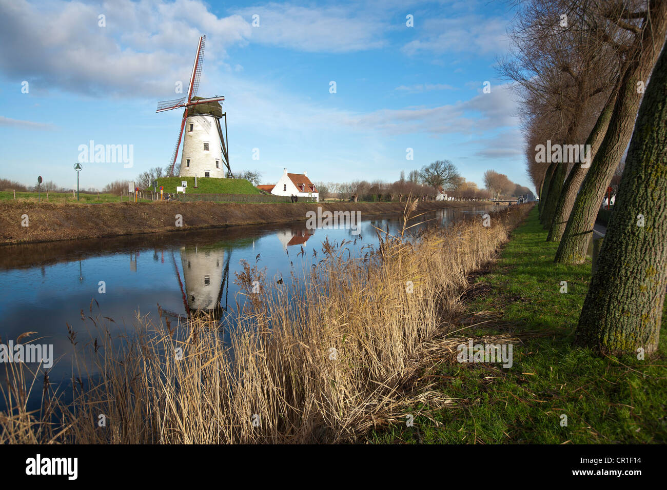 De Schell Molen Windmühle am Damme, Belgien Stockfoto