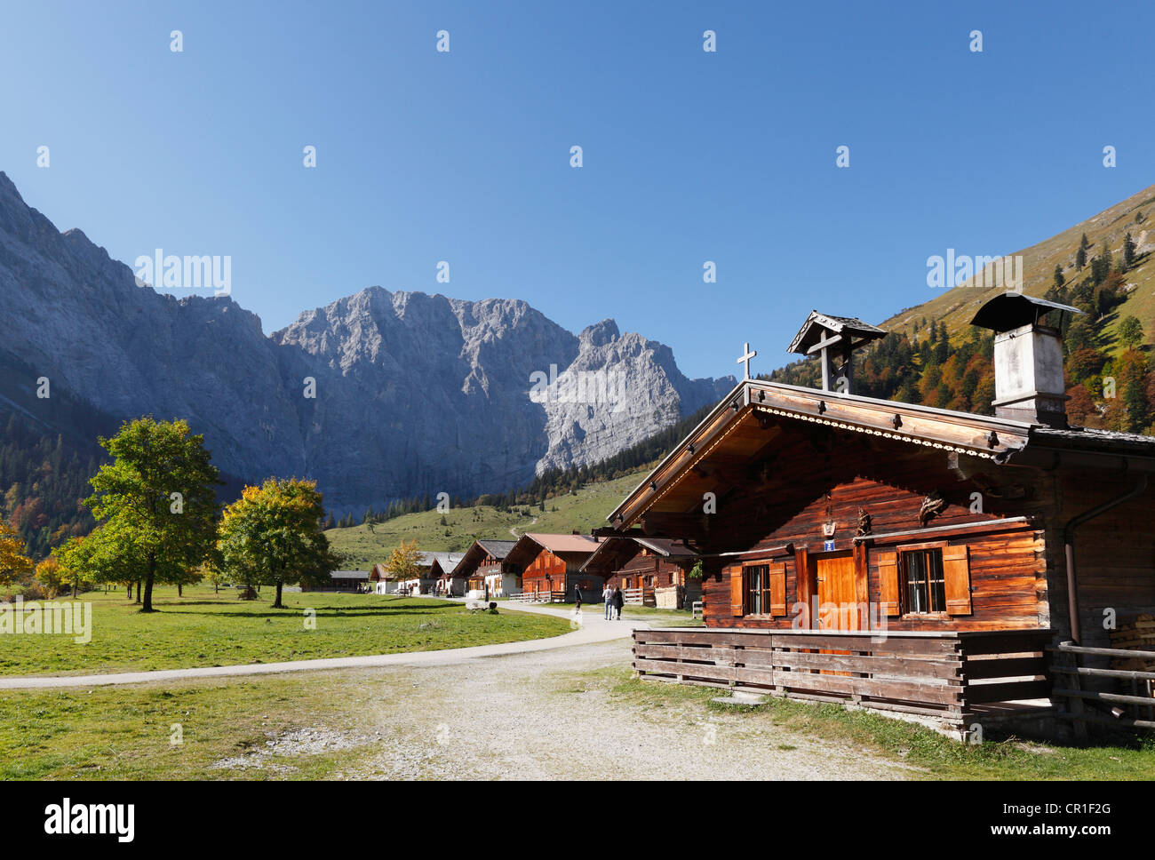 Eng-Alm, Alm, Grosser Ahornboden Weide mit Ahorn Bäume, Risstal, Karwendelgebirge, Tirol, Austria, Europe Stockfoto