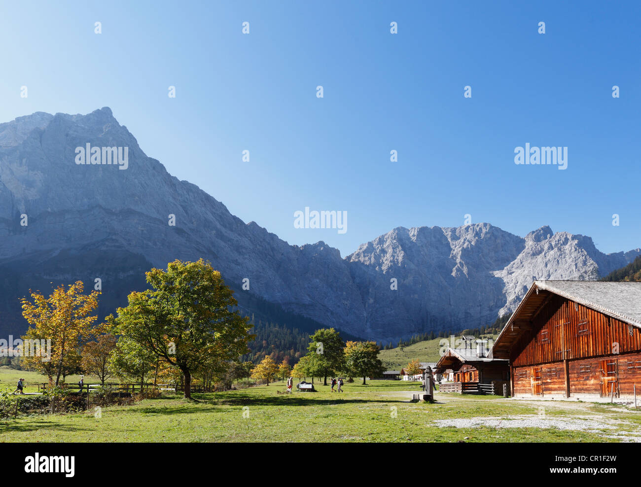 Eng-Alm, Alm, Grosser Ahornboden Weide mit Ahorn Bäume, Risstal, Karwendelgebirge, Tirol, Austria, Europe Stockfoto