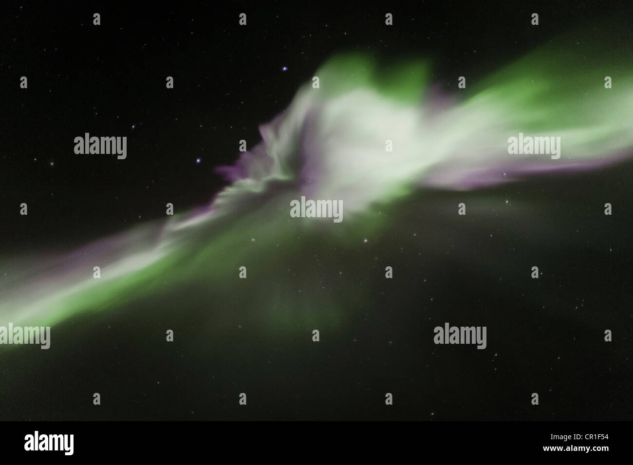 Nordlichter (Aurora Borealis) bilden eine Corona in den Himmel, Þingvellir, Island, Europa Stockfoto