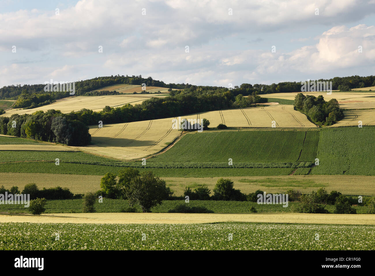 Landschaft in der Nähe von Grossmugl, Weinviertel, Wein-Viertel, Niederösterreich, Österreich Stockfoto
