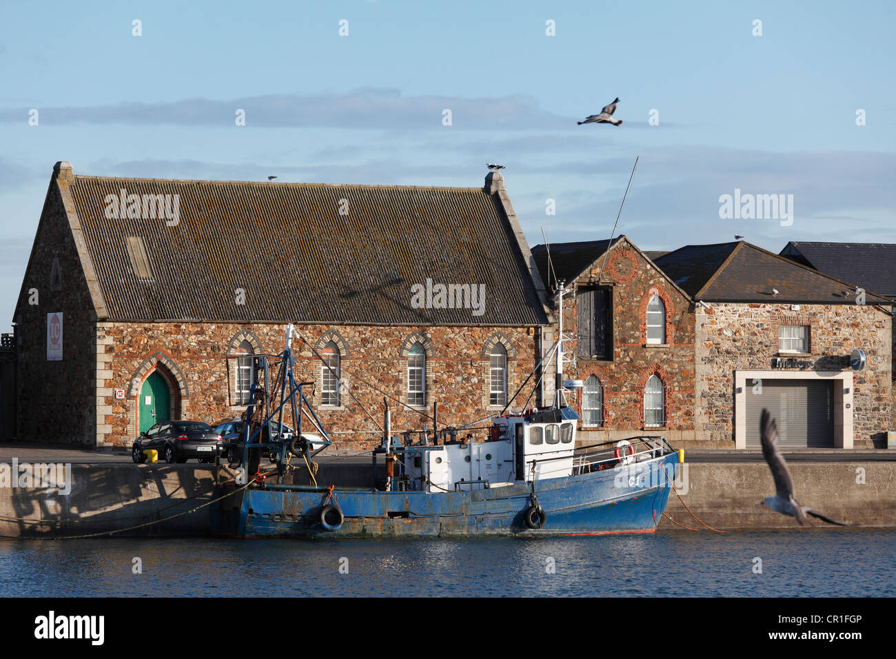 Fischerei Hafen von Howth, in der Nähe von Dublin, County Fingal, Leinster, Irland, Europa, PublicGround Stockfoto