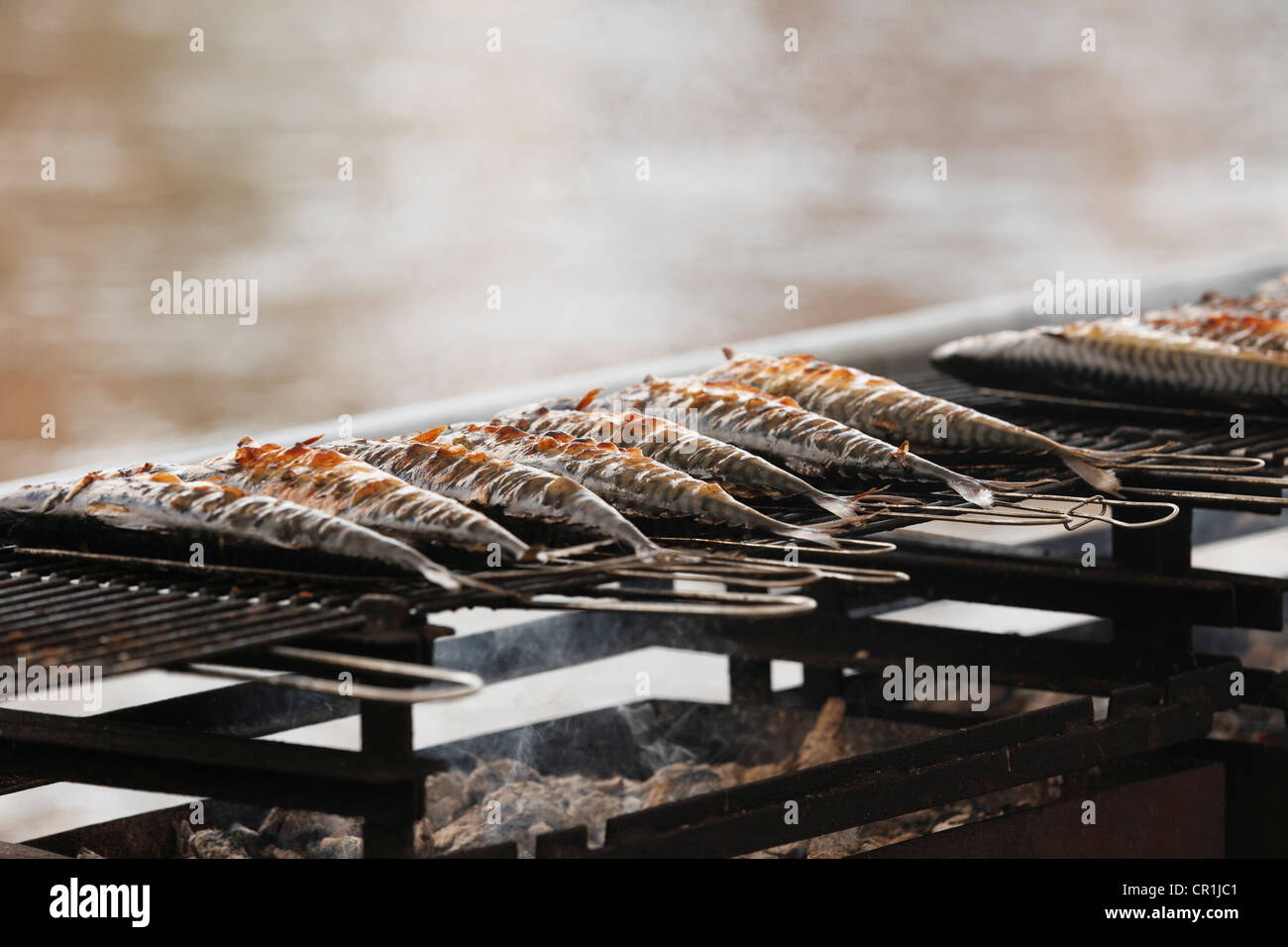 Fisch auf einem Grill, Sandkerwa, Volksfest, Bamberg, Oberfranken, Franken, Bayern, Deutschland, Europa, PublicGround Stockfoto