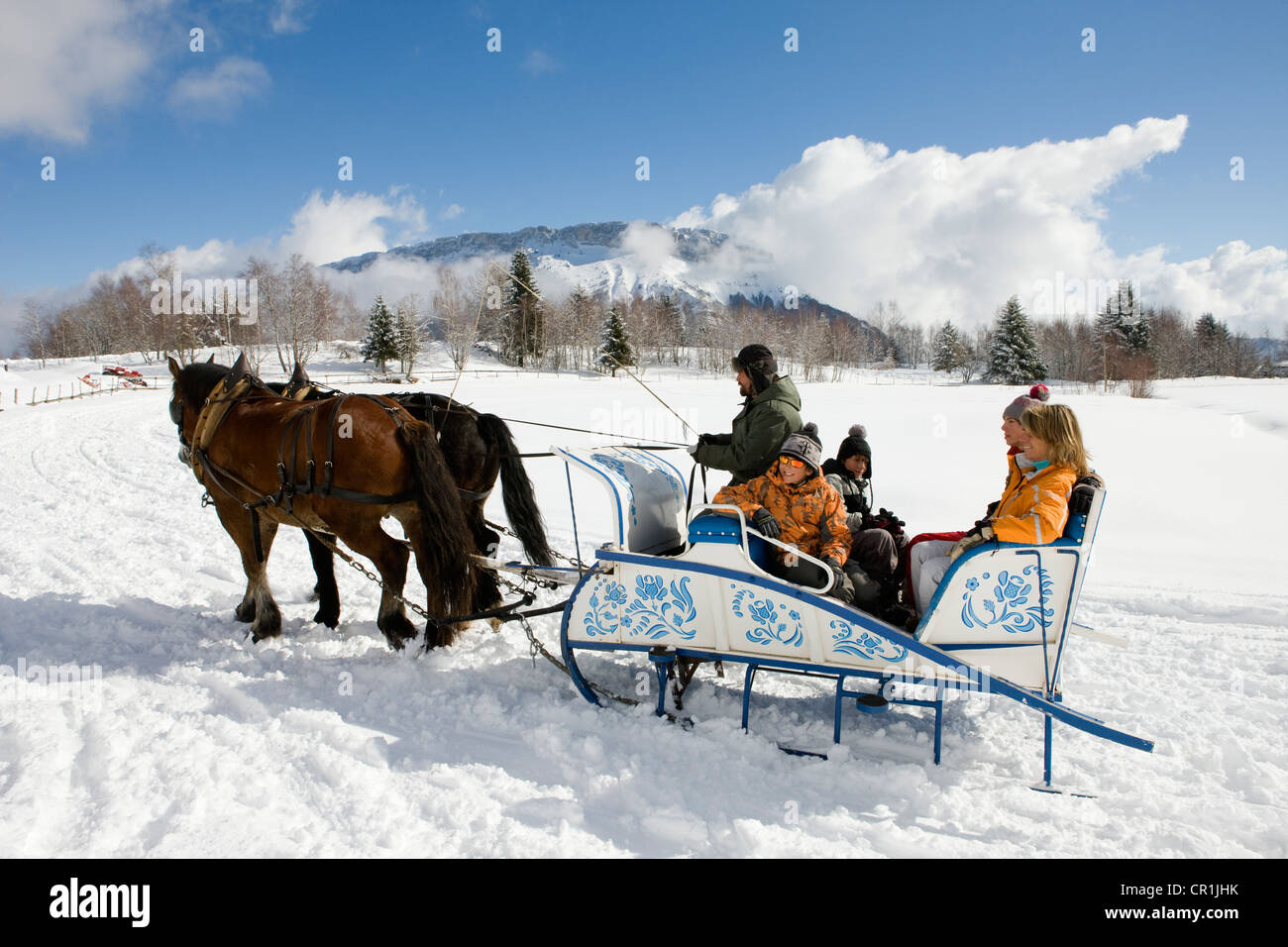 Frankreich, Savoyen, la Feclaz, Massif des Bauges, Schlitten-Fahrt Stockfoto