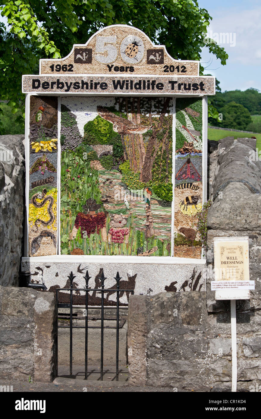 Gut dressing zum Gedenken an 50 Jahre Derbyshire Wildlife Trust, Ashford im Wasser, Derbyshire, England Stockfoto