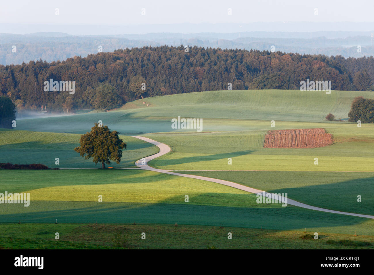 Kultivierte Landschaft in der Nähe von Degerndorf, Blick vom Mt Fuerst-Tegernberg, Muensing, fünf-Seen-Region, Bayern, Oberbayern Stockfoto