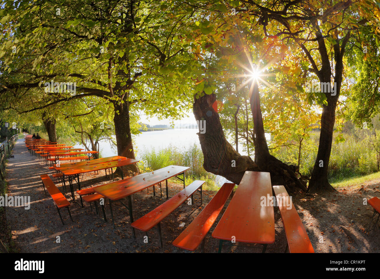 Tabellen von Bier Garten der Maisinger Seehof, See Maising in der Nähe von Maising, Gemeinde Poecking, Fuenfseenland Stockfoto