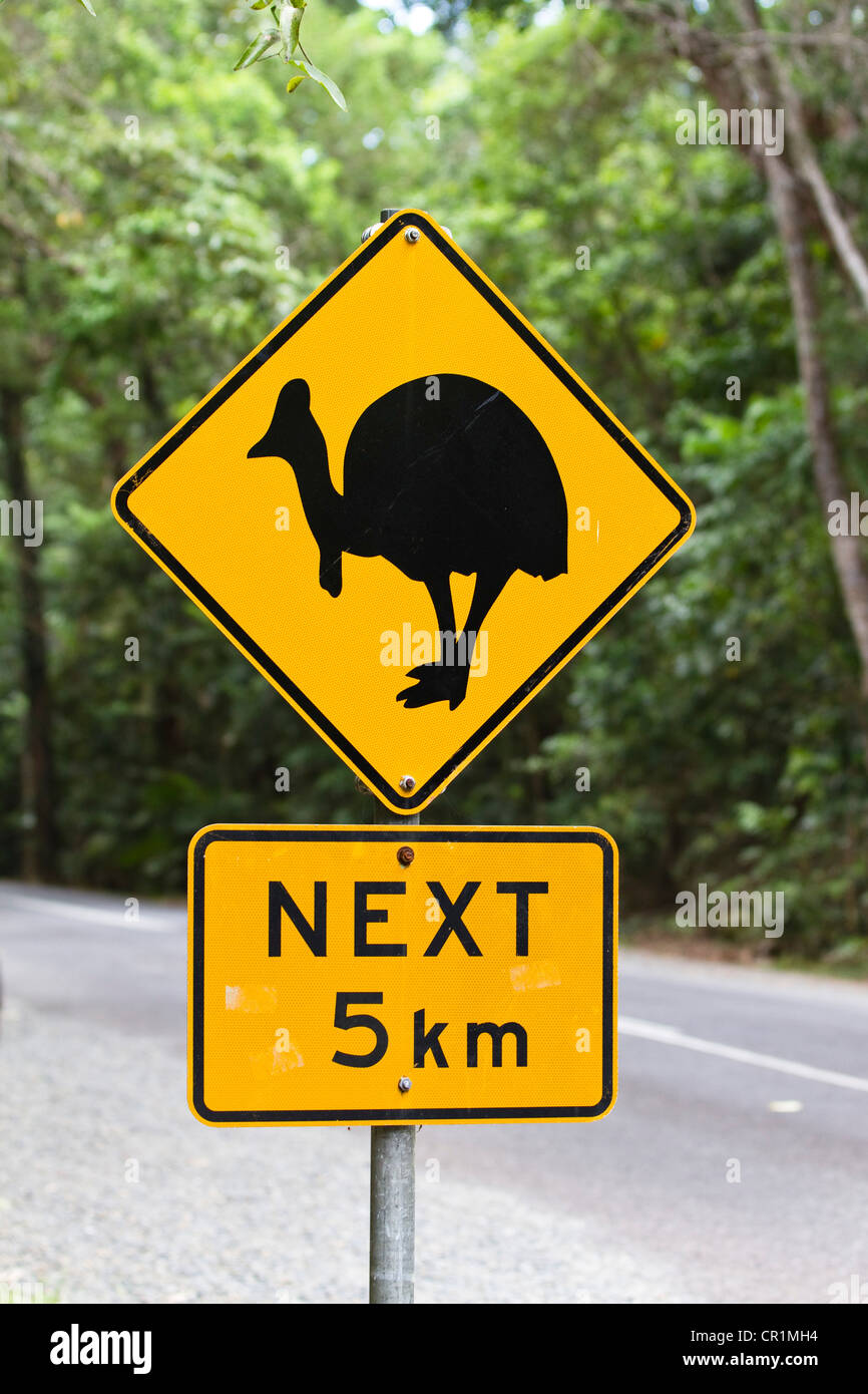 Kasuar Warnschild im Regenwald, Daintree Nationalpark, Nord-Queensland, Australien Stockfoto