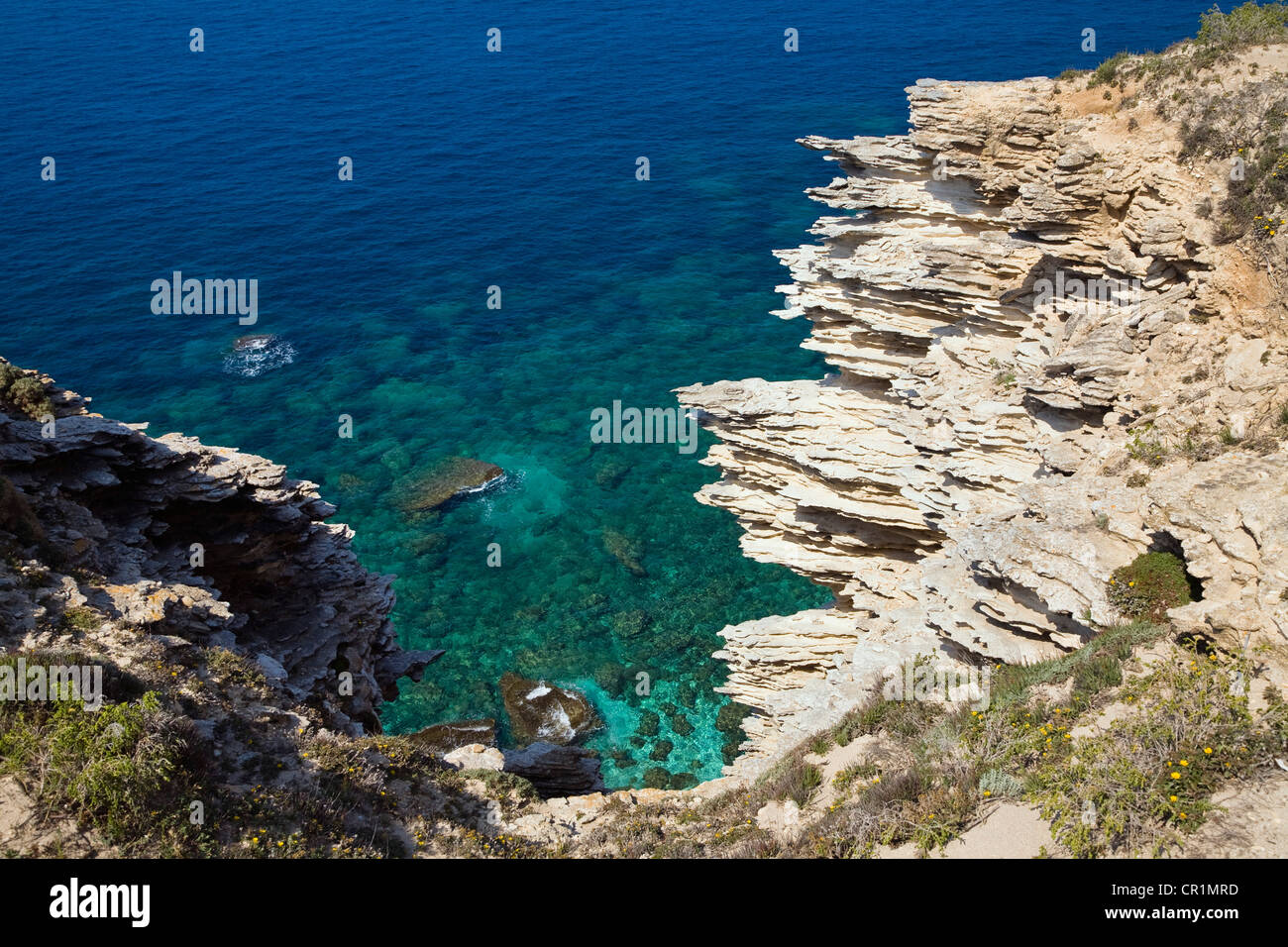 Klippen von Bonifacio, Südküste, Korsika, Frankreich, Europa Stockfoto