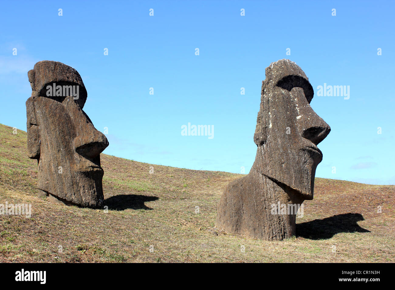 "Osterinsel" Statuen, Moai-Statue-Köpfe, "Osterinsel" Chile Stockfoto