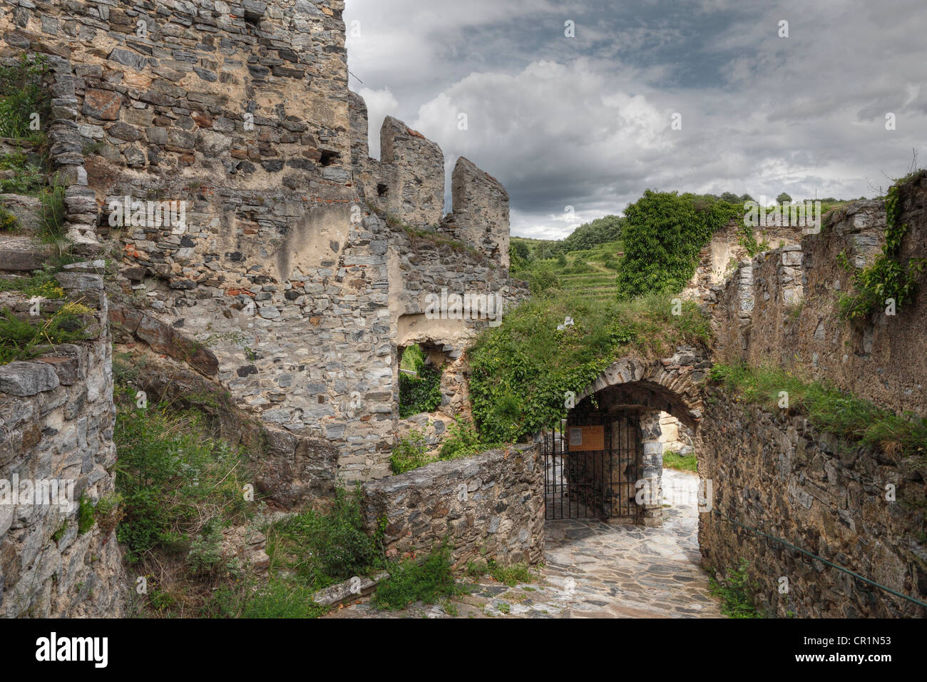 Burgruine Senftenberg Burgruine, Kremstal Calley, Wachau, Niederösterreich, Österreich, Europa Stockfoto