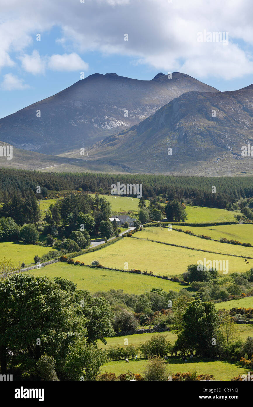 Mt. Slieve Bearnagh, Mourne Mountains, County Down, Nordirland, Irland, Großbritannien, Europa Stockfoto