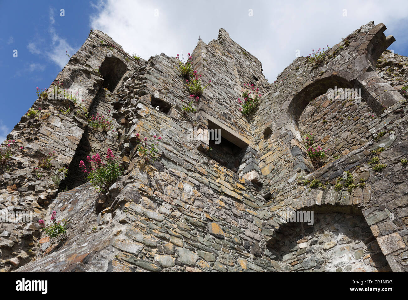 König John Castle, Carlingford, Cooley Halbinsel, County Louth, Republik Irland, Europa Stockfoto