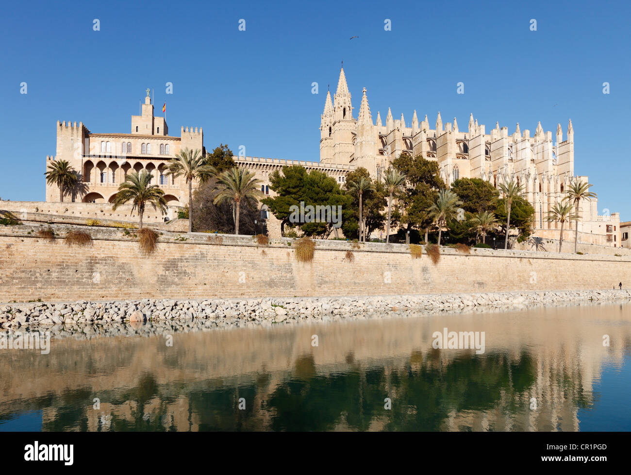 Kathedrale La Seu, Parc de Mar, Palma de Mallorca, Mallorca, Balearen, Spanien, Europa Stockfoto