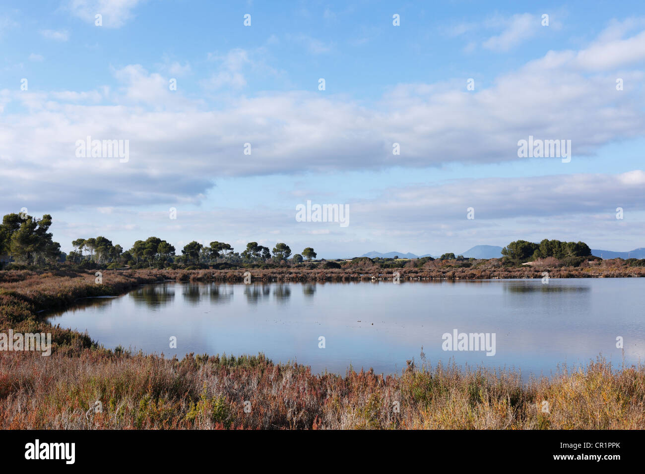 Salz Verdampfung-Teich, Salines de Levante, Mallorca, Balearen, Spanien, Europa Stockfoto