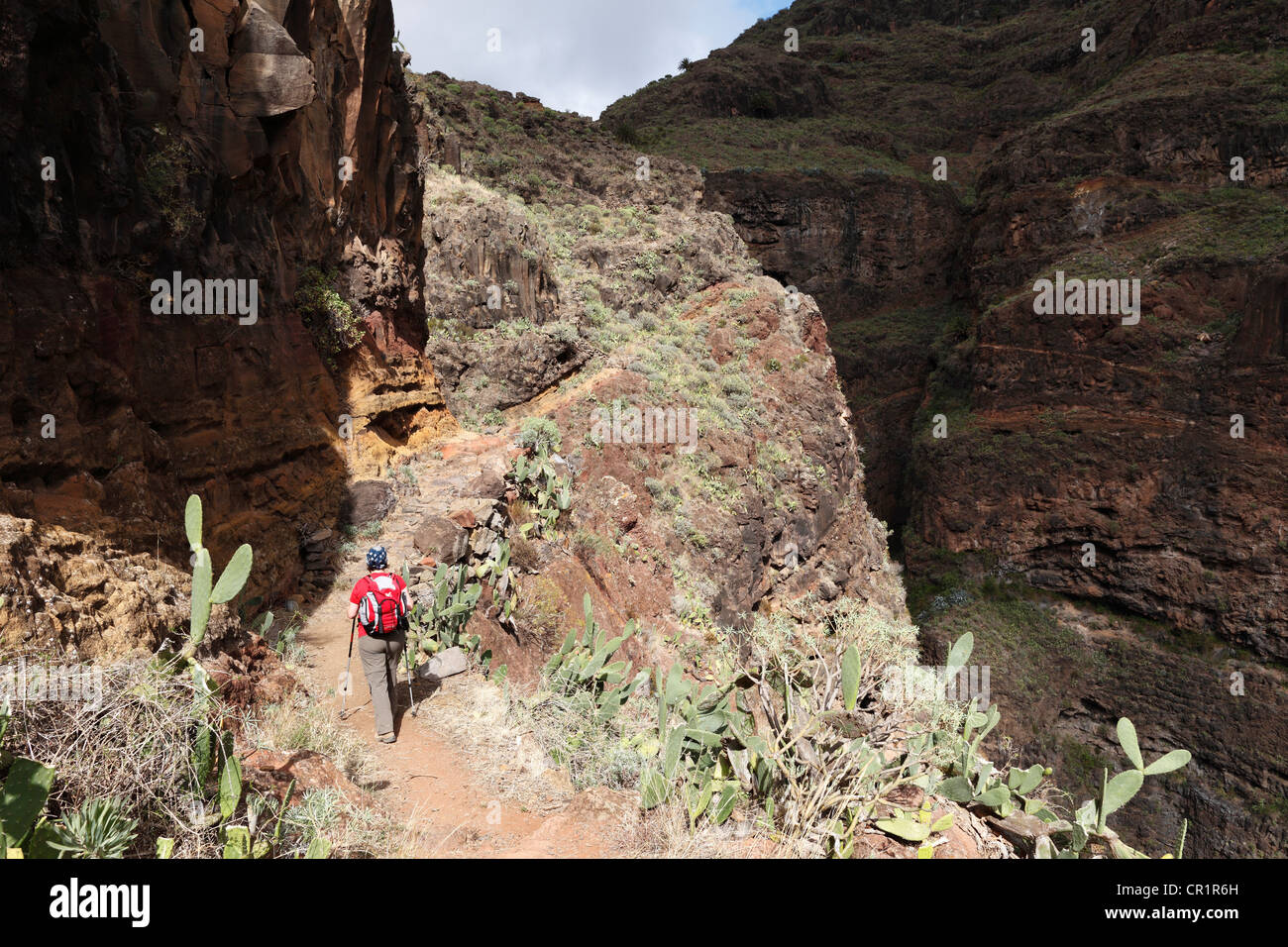 Frau mit einem Rucksack auf einem Wanderweg, Barranco de Guarimiar in der Nähe von Alajero, La Gomera, Kanarische Inseln, Spanien, Europa Stockfoto