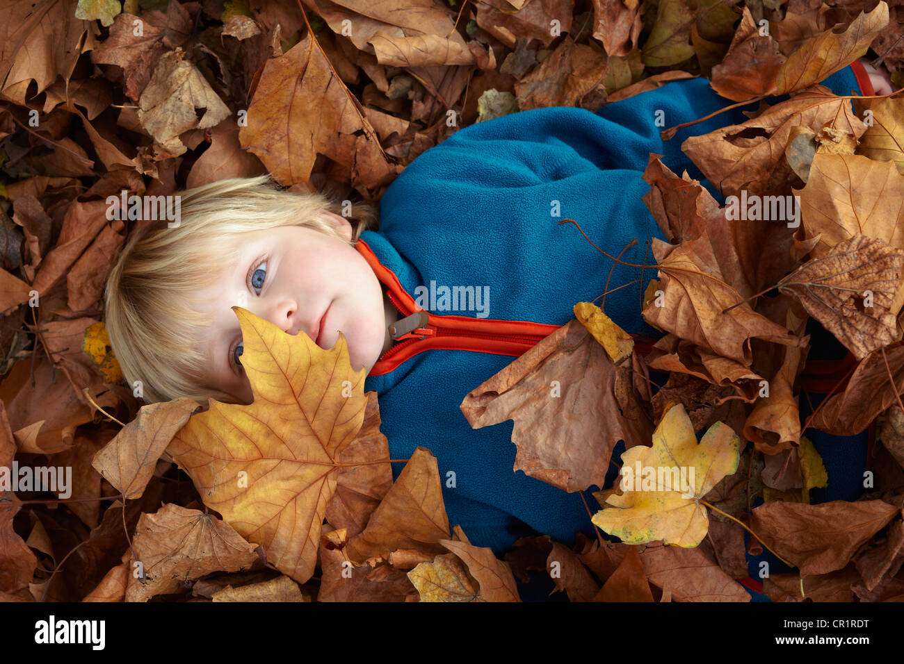 Junge spielt im Herbstlaub Stockfoto
