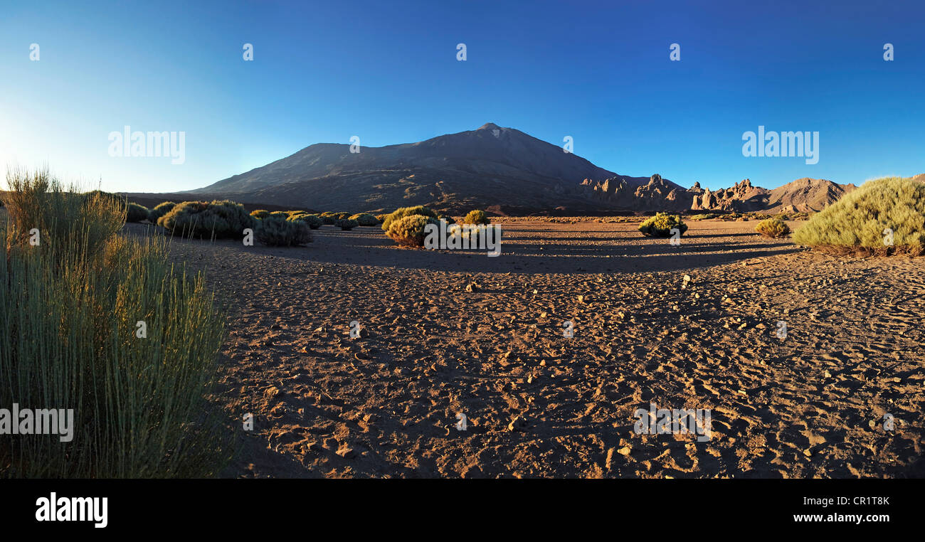Abend im Teide-Nationalpark mit Berg Pico del Teide, Teneriffa, Kanarische Inseln, Spanien, Europa Stockfoto
