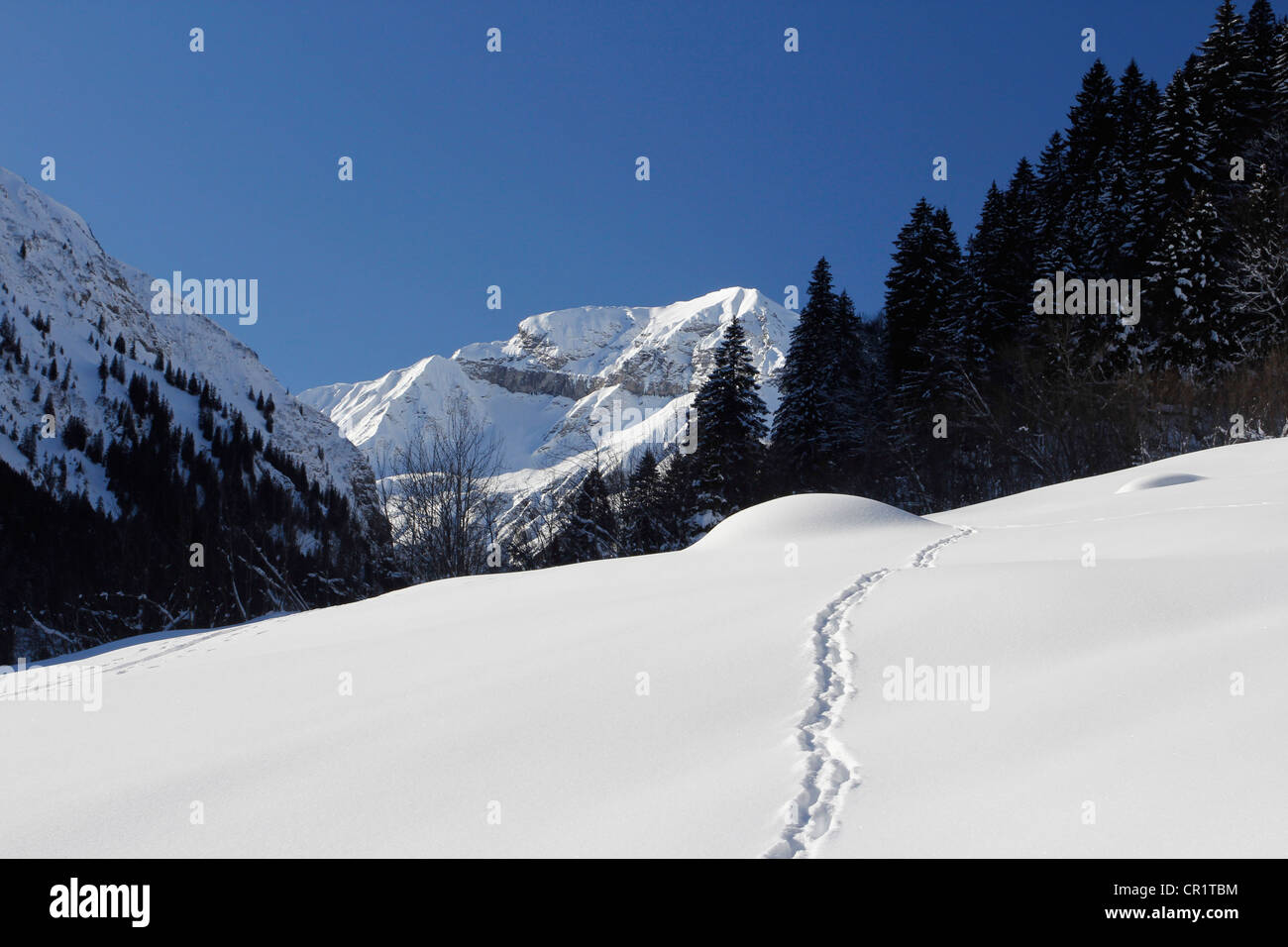 Foostock im tiefen Winter, in den Rücken der Alpen-Vorsiez, Sarganserland, Mels, Weisstannental Region, St. Gallen, Schweiz Stockfoto