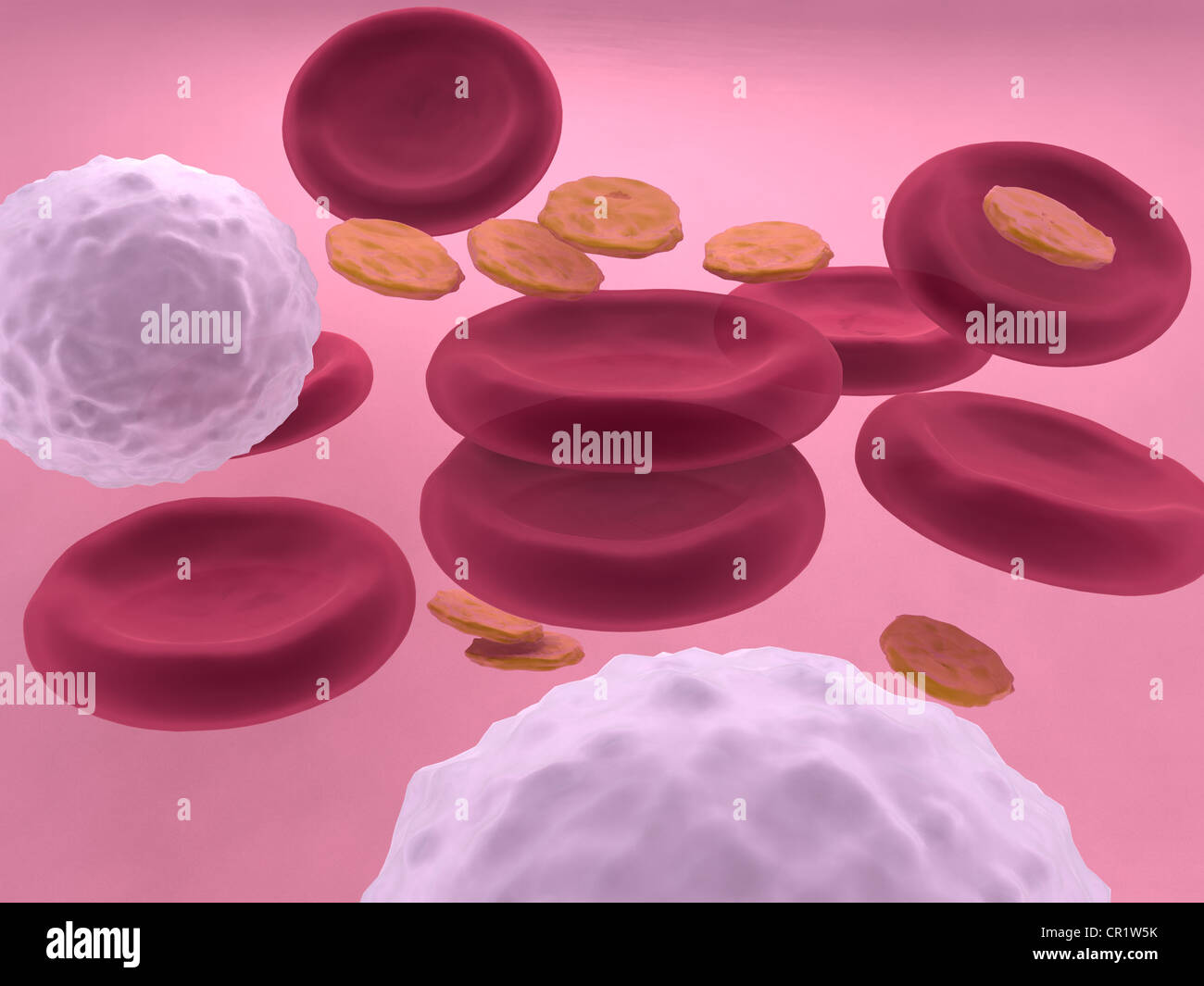 3DVisualisierung von Blutzellen mit Erythrozyten, Leukozyten und Thrombozyten Stockfotografie