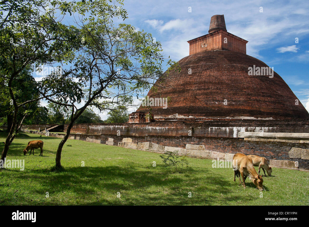 Jetavanarama Dagoba, Anuradhapura, Sri Lanka Stockfoto