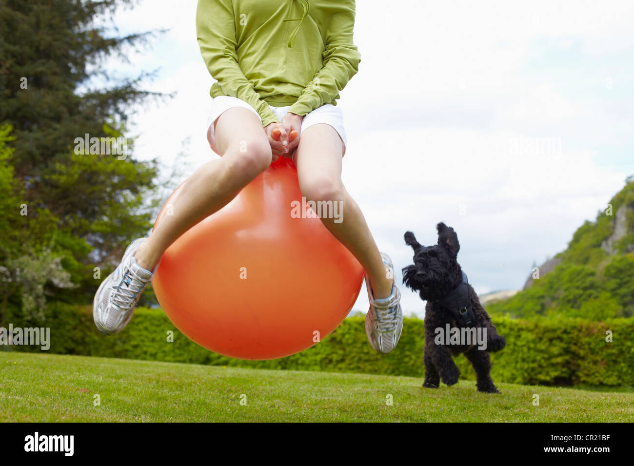 Frau auf bouncy Ball spielen mit Hund Stockfoto