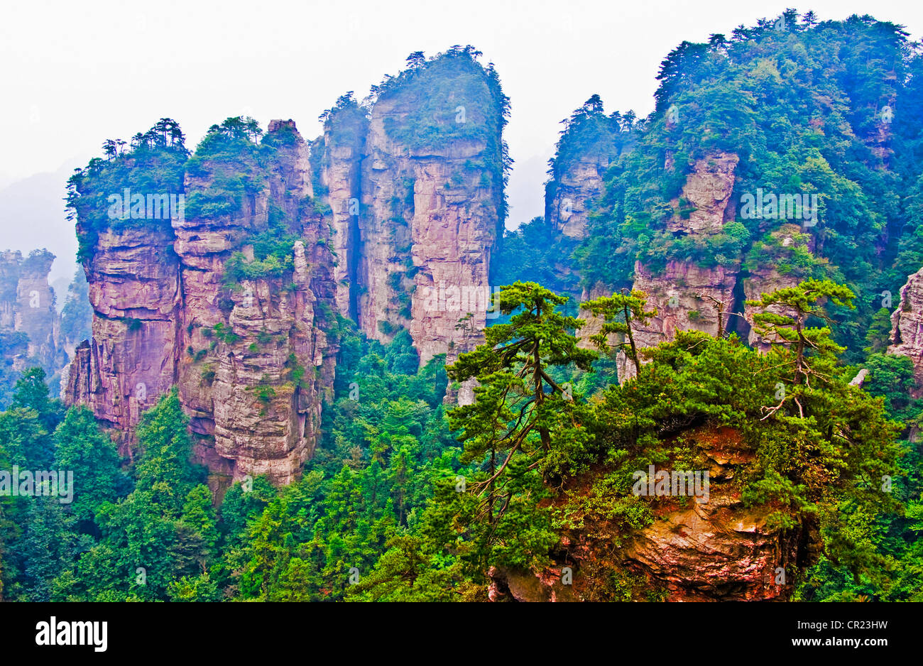 China: Zhangjiajie National Forest Park-Blick vom gelben Stein Festung (Huangshizhai) in der Provinz Hunan Stockfoto