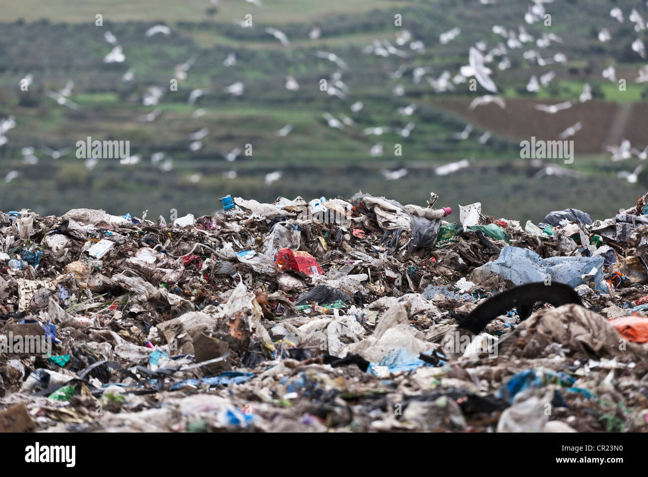 Deponie im Müll-Sammelstelle Stockfoto