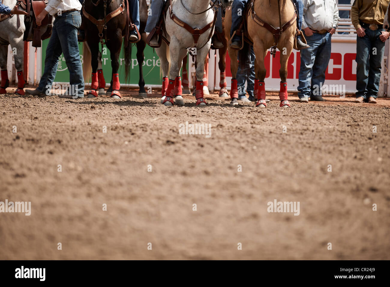 Cowboys und Pferde bei der Calgary Stampede Stockfoto Cowboys und Pferde bei der Calgary Stampede Stockfoto
