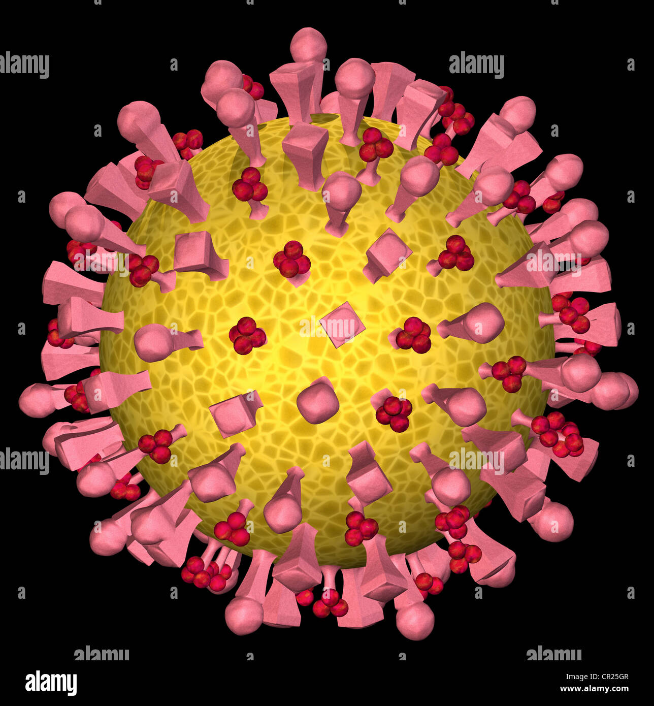 Abbildungen der Struktur eines typischen menschlichen Virus Stockfoto