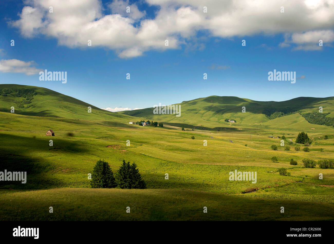 Die malerische Landschaft von Wiesen und sanften Hügeln von Cezallier, Auvergne, Frankreich, Europa Stockfoto